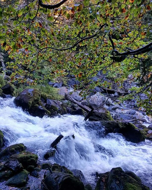 Отель Casa Es Neres Лес Экстерьер фото